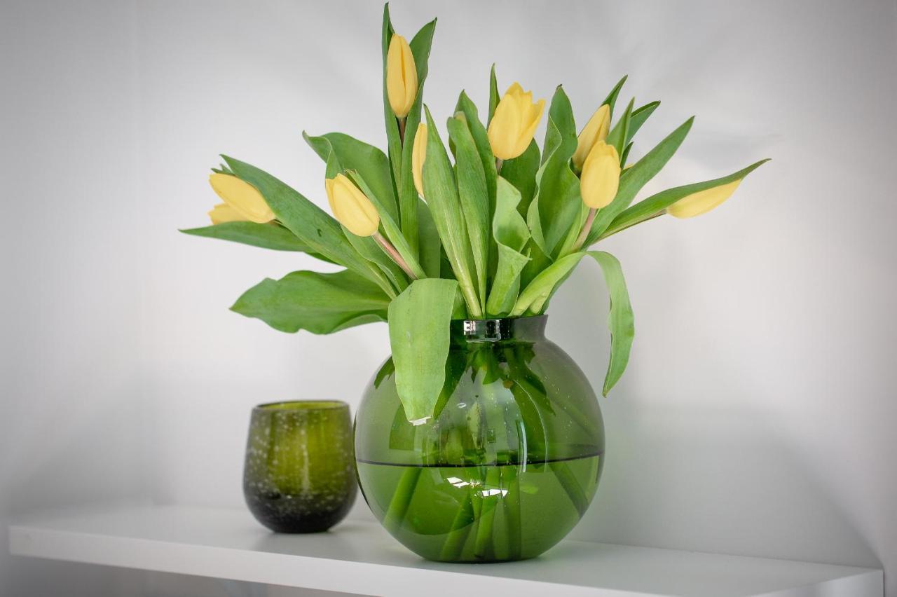 ורוצלב Apartament Ksiezycowy - Mlyn Maria - Art Apartments מראה חיצוני תמונה